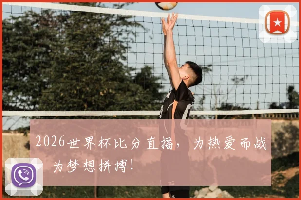 2026世界杯比分直播，为热爱而战，为梦想拼搏！