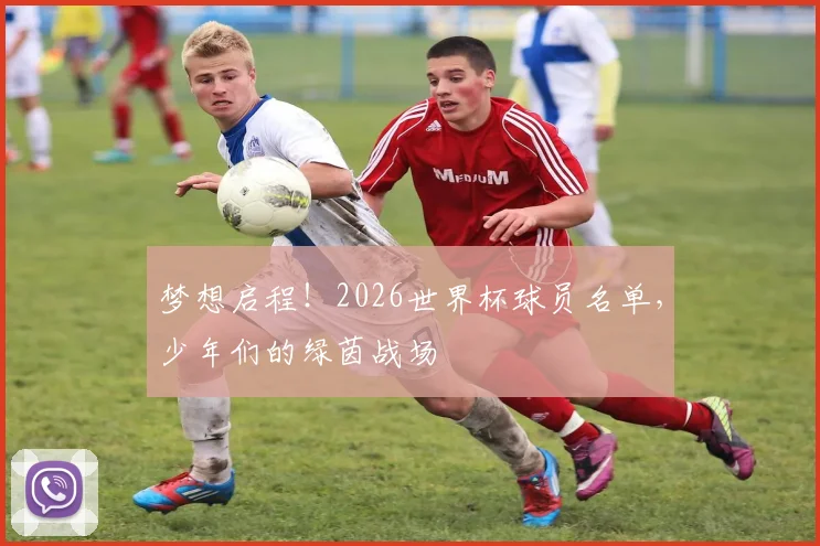 梦想启程！2026世界杯球员名单，少年们的绿茵战场