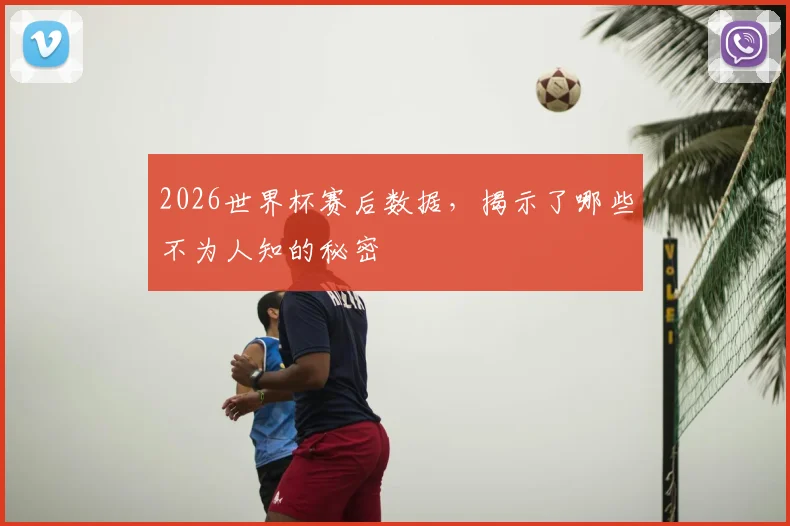2026世界杯赛后数据,揭示了哪些不为人知的秘密