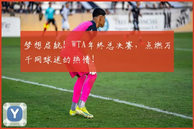 梦想启航！WTA年终总决赛，点燃万千网球迷的热情！